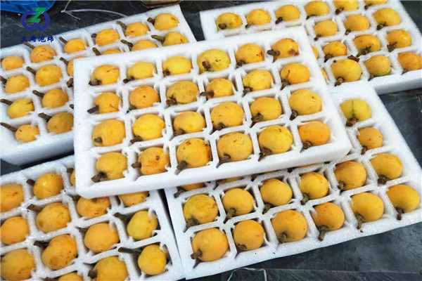 定做枇杷托的材料是環(huán)保的嗎？