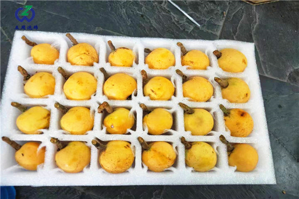 枇杷內(nèi)托的制作材料對人體有害嗎？